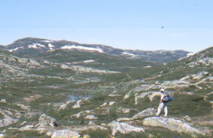 Hardangervidda