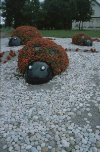 Marienkäfer aus Blumen