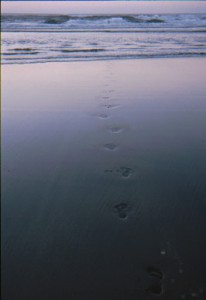 Fußspuren im Sand