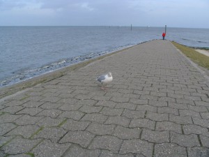 Ostfriesland