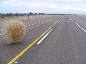 Unendliche Weite in Patagonien