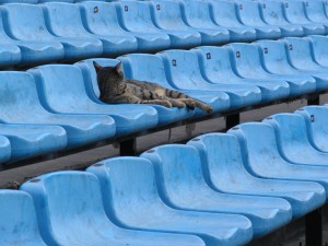 Stadion La Bombonera