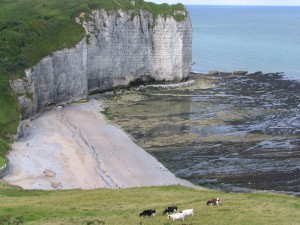 Küste an der Normandie