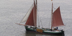 Segelschiff auf der Elbe