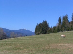 Landschaft in Ostbayern