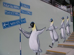 Pinguine in Patagonien