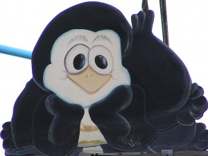 Pinguine in Patagonien