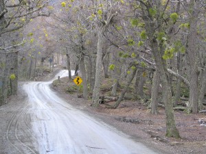 Nationalpark Tierra del Fuego