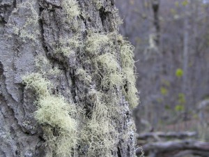 Nationalpark Tierra del Fuego