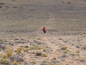 Mit einem Mietwagen durch Patagonien