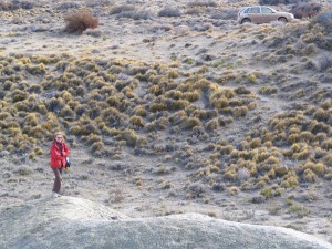 Mit einem Mietwagen durch Patagonien