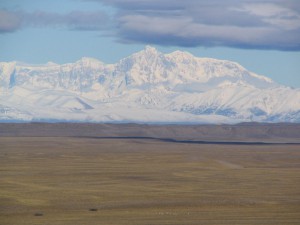 Mit einem Mietwagen durch Patagonien