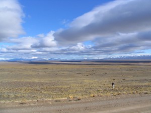 Weite Landschaft