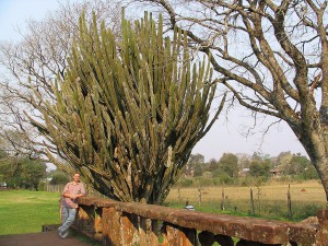 Jesuitenreduktionen in San Ignacio