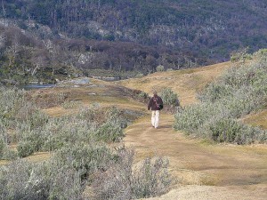 Nationalpark Tierra del Fuego