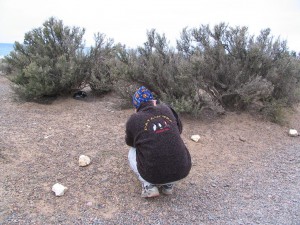 Magellanpinguine in Patagonien