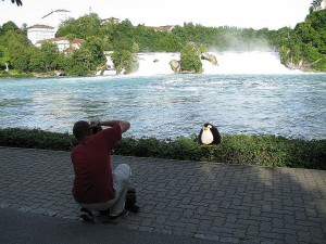 Rheinfall