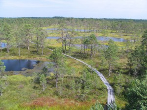 Moor in Nordestland