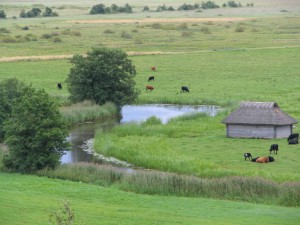 Estnische Landschaft