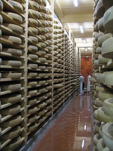 Käse aus dem Jura
