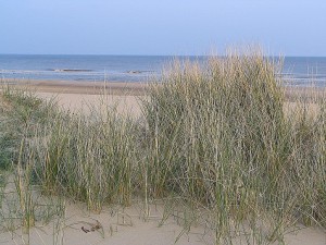 Am Strand von Holland