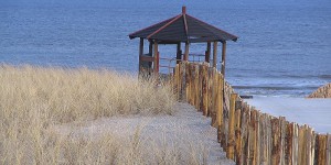 Am Strand von Holland