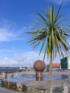 Palme in Lettland