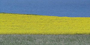 Landschaft in Nordfrankreich