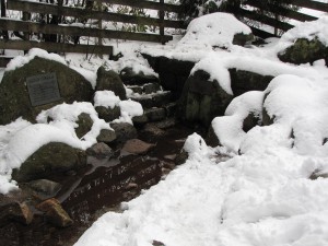 Donauquelle im Schnee