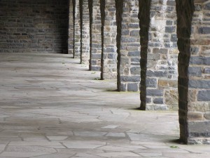 Vogelsang in der Eifel