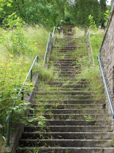 Vogelsang in der Eifel