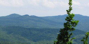 Blick über das Siebengebirge