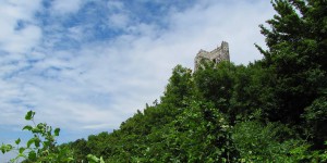 Aussicht am Drachenfels