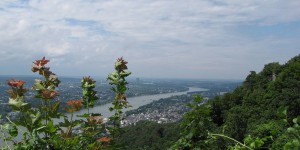 Blick bis Bonn