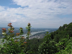 Blick bis Bonn