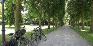 Fahrrad in Ratingen