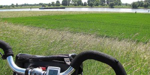 Radeln auf dem Rheinradweg