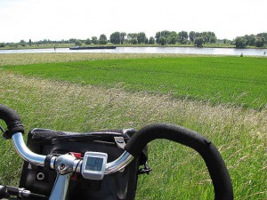 Radeln auf dem Rheinradweg