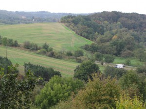 Vorharz an der Teufelsmauer