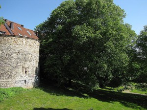 Stadtmauer von Unna