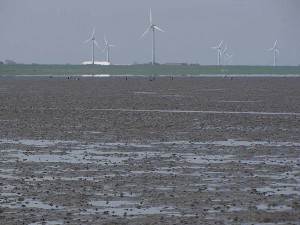 Fernblick im Wattenmeer