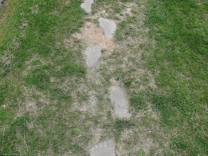 Fußstapfen als Gehwegplatten