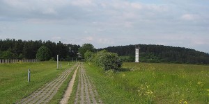 Rapsfeld