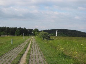 Rapsfeld