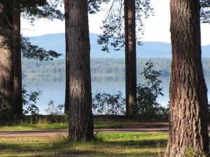 Campingplatz