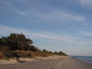 Strand in Skåne