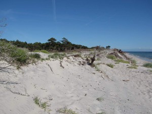 Strand in Skåne