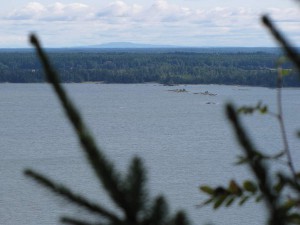 Blick vom Halleberg auf den Vänernsee