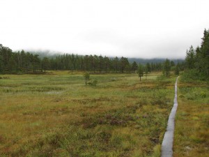 Wanderung zum Mittelpunkt von Norwegen