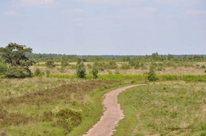 Wanderweg in De Groote Peel